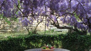 A garden with a stone wall, a round table with a flower pot, and purple flowering trees. - Ligurian rustico, surrounded by olive groves, 10 minutes from the sea. (Imperia)