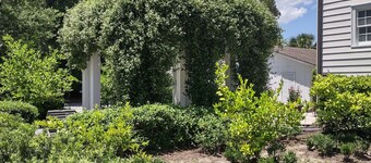 Beaufort Charm showcased in this elegantly updated 4-bedroom historic home.