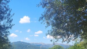 A picnic area with two stone barbecue grills and a wooden picnic table, surrounded by lush greenery and mountains in the background.