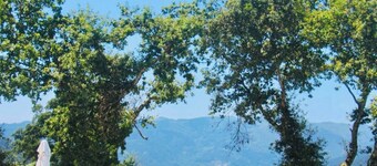 Cabin House. A retreat with a swimming pool and privacy in Gerês.