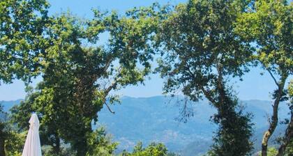 Cabin House. A retreat with a swimming pool and privacy in Gerês.