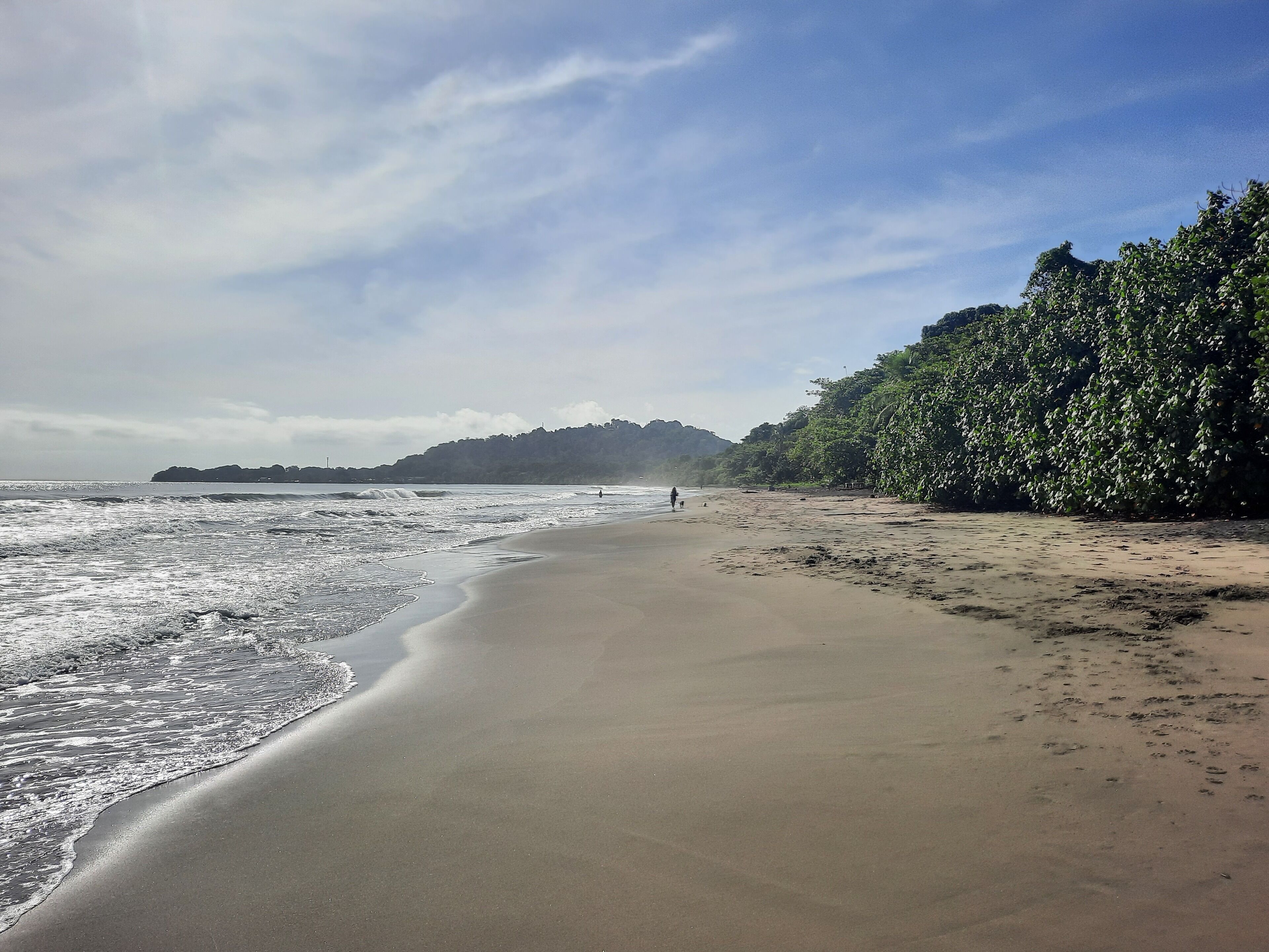 靠近海滩、黑沙