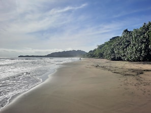 Beach nearby, black sand