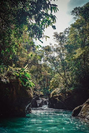 Exterior - Ventanas en Corcovado (Puerto Jiménez)
