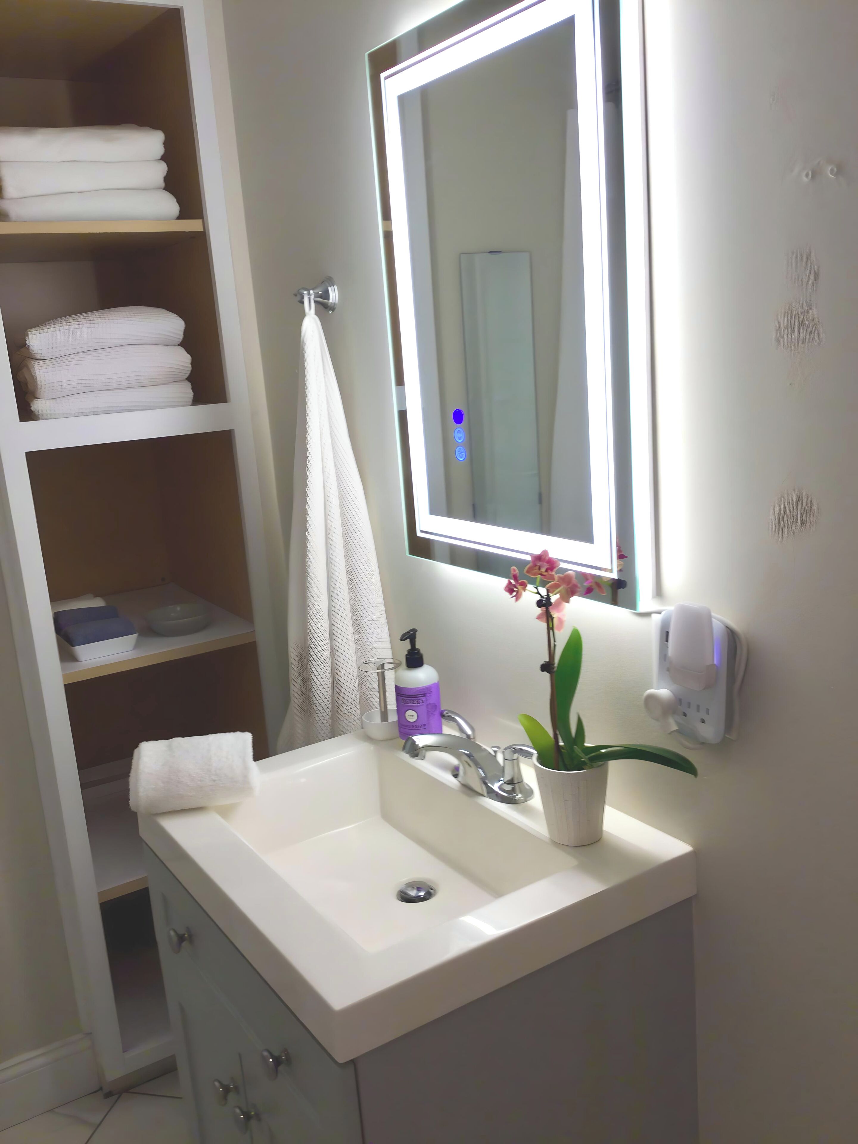 Une salle de bain avec un lavabo blanc, un miroir, un porte-serviettes, une étagère avec des serviettes pliées, une plante en pot et un distributeur de savon.
