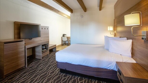 Una habitación de hotel con cama, televisión, escritorio y silla.