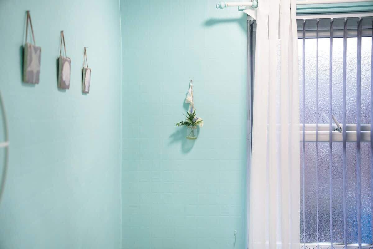 Shower, hair dryer
