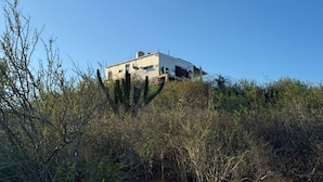 Un edificio a un piano con tetto piatto, circondato da arbusti e cactus fitti.