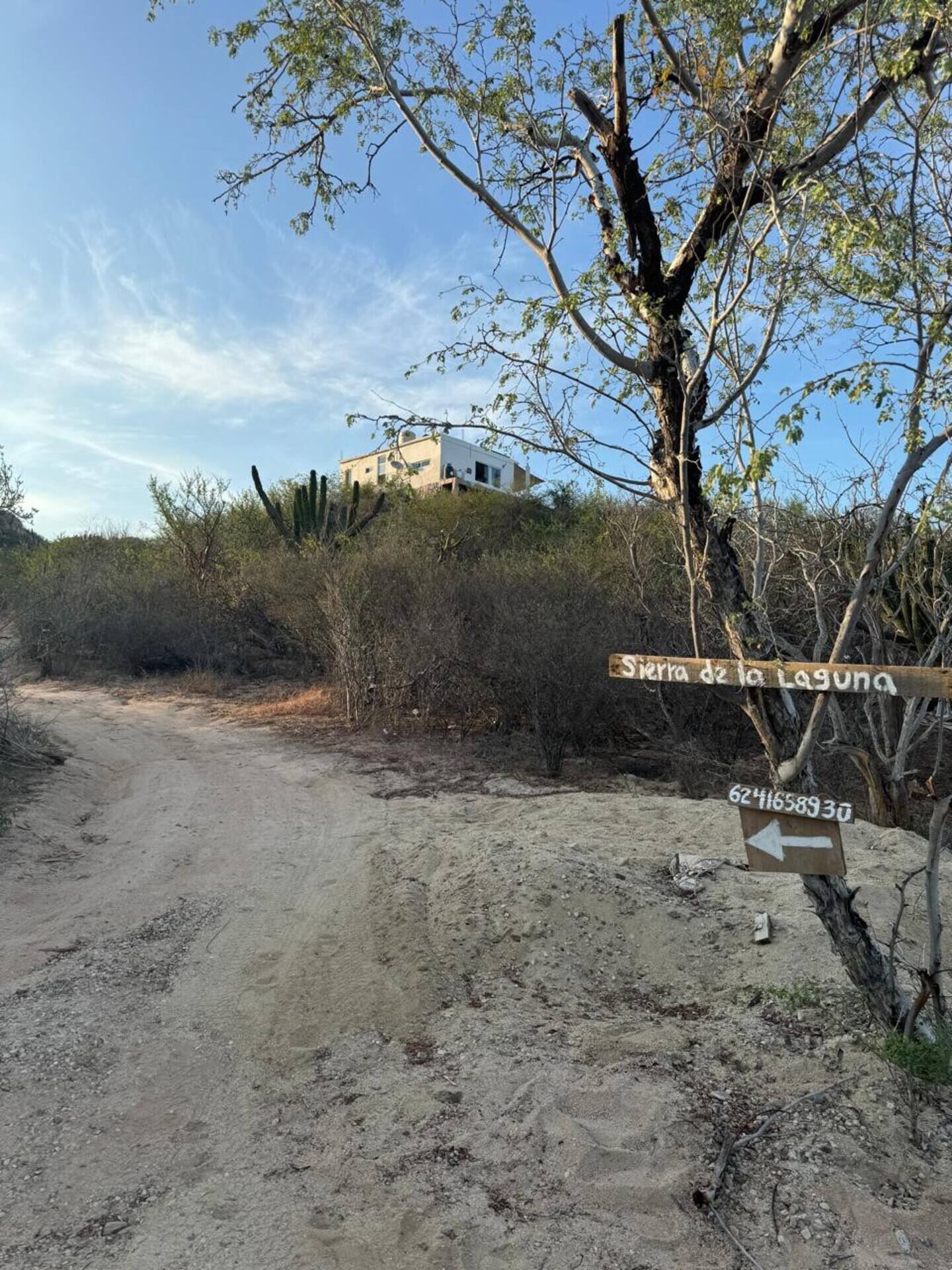 A dirt road leading to a building with a sign indicating 'Sierra de la Laguna'.