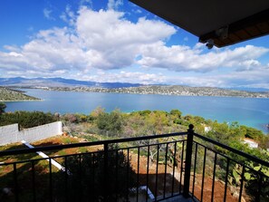 Property grounds - House by the sea (Salamina)