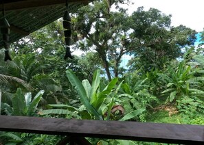 Property grounds - Vishuddhi Chakra Room with Oceanview (Bastimento)
