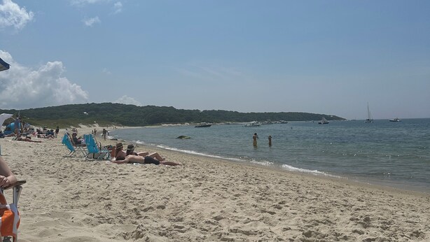 A beach with people sunbathing and swimming. - 12 Mins from Beach - A Quiet, Immaculate space (Norwell)