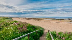 A beach with a wooden pathway leading to the shore, surrounded by greenery and wildflowers. - Charming 2-bedroom cottage in Kingsbarns  (Kingsbarns)
