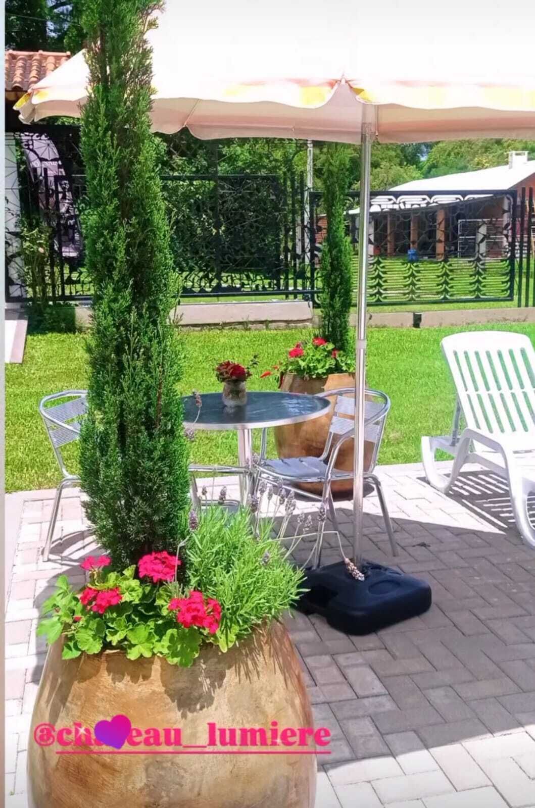 Servicio de la propiedad