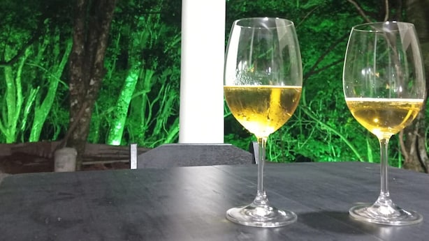 Two glasses of white wine on a table with a green, forest-like background. - Pousada château Lumière  (Itaara)