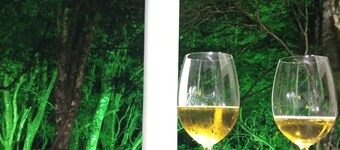 Pousada château Lumière 