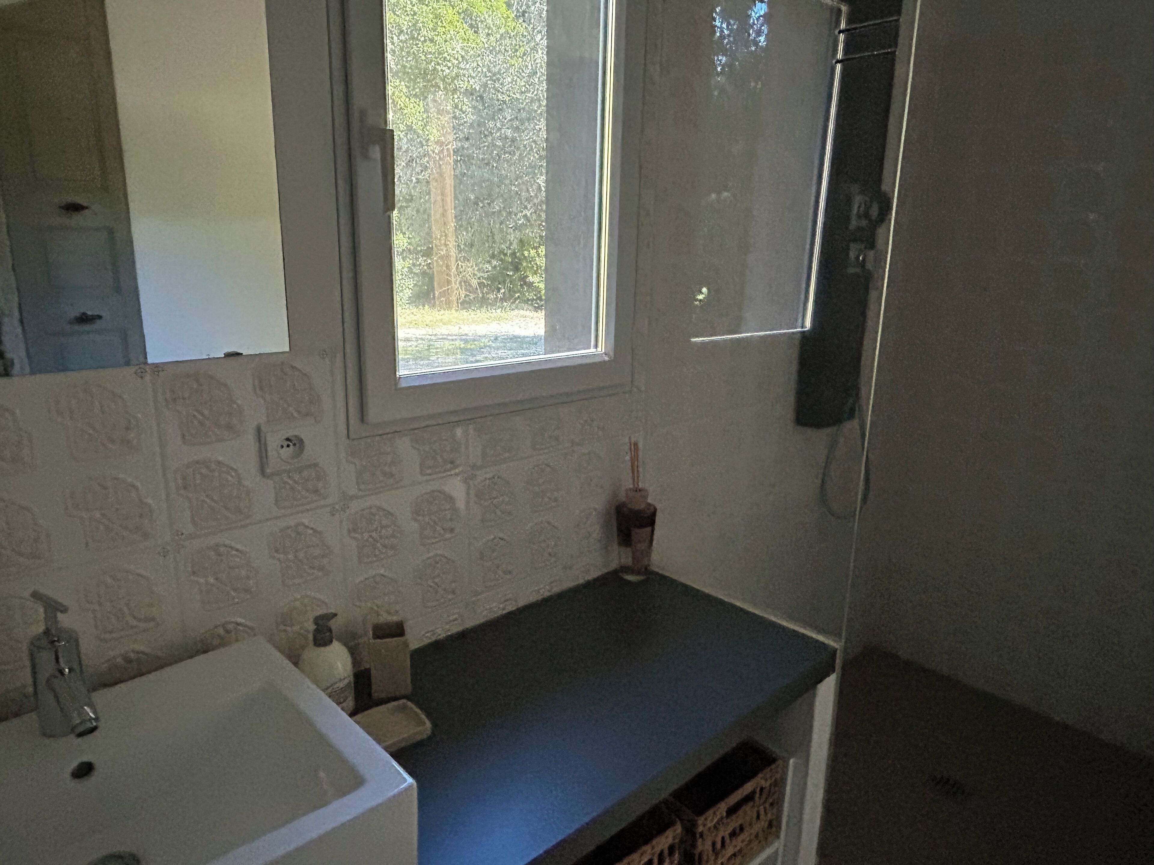 Shower, hair dryer, towels, toilet paper