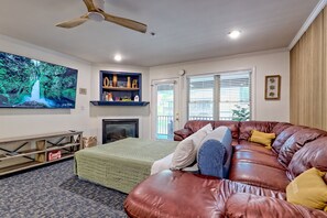 Smart TV, fireplace, books