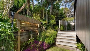 Une terrasse en bois menant à une maison entourée d’une clôture en métal et d’une végétation luxuriante.
