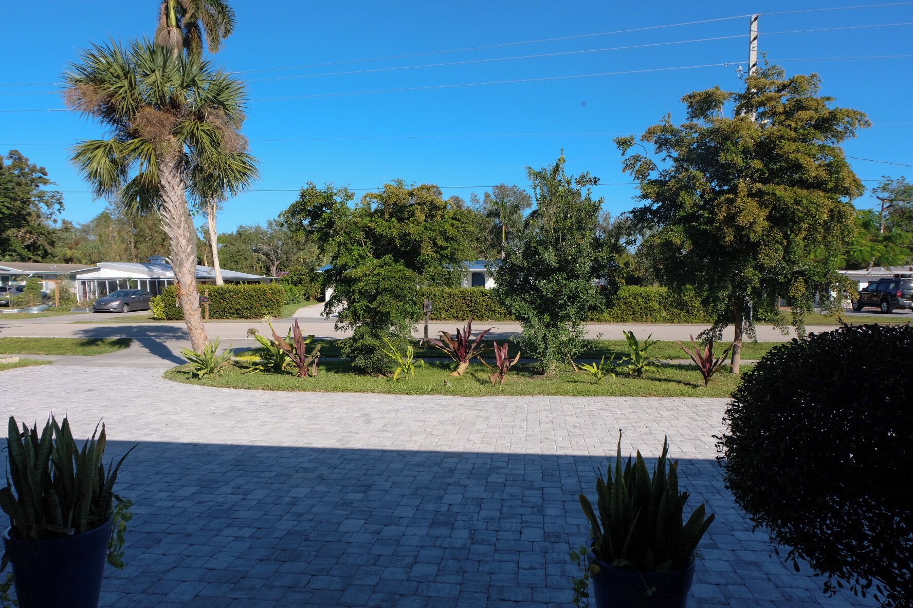 A paved driveway leading to a building with a covered entrance, surrounded by various plants and trees.