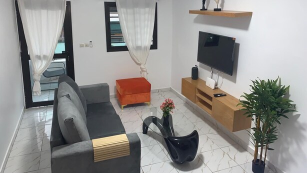 A living room with a grey sofa, a wooden coffee table, a TV on a wooden stand, a potted plant, and a window with curtains. - The house of happiness (Abidjan)