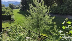 A garden with a variety of plants and a wooden fence. - Cozy studio in Barcelonnette (Barcelonnette)