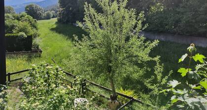 Studio chaleureux Ă Barcelonnette avec balcon et vue sur montagne