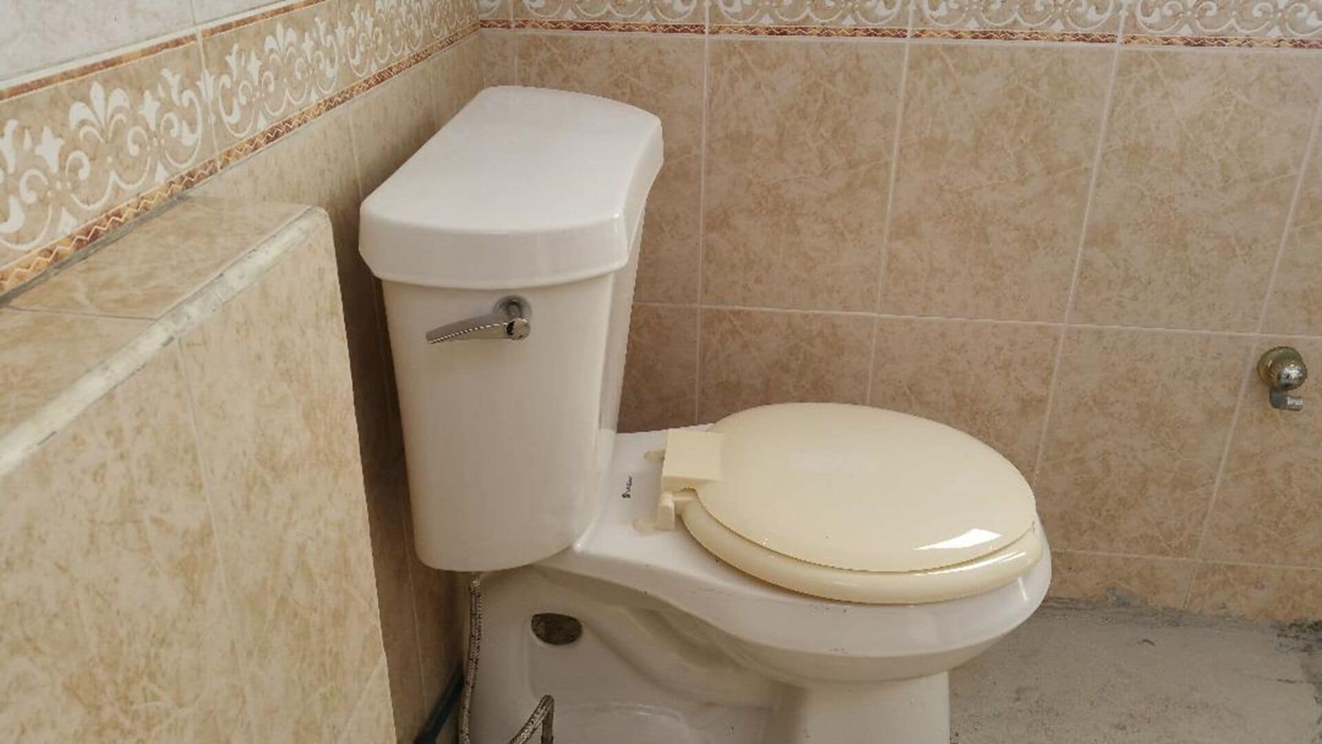 Foto - Hostal Luna Vallarta