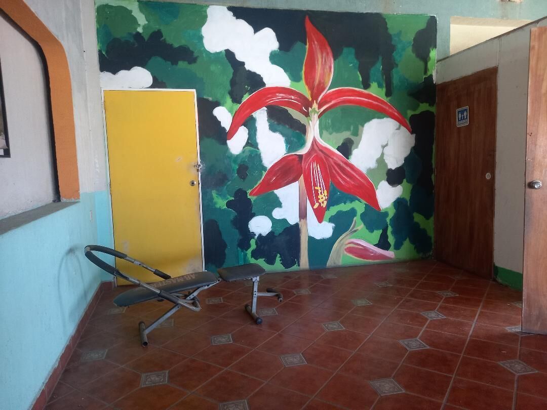 Foto - Hostal Luna Vallarta