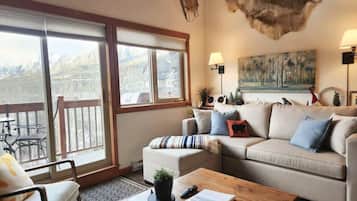 TV, fireplace, books, offices