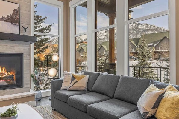 TV, fireplace, video games, books