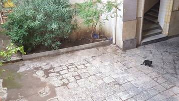 Enceinte de lâhĂ©bergement