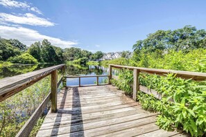 Property grounds - Quiet Oak Retreat – Serene 3 BDR (Tampa)