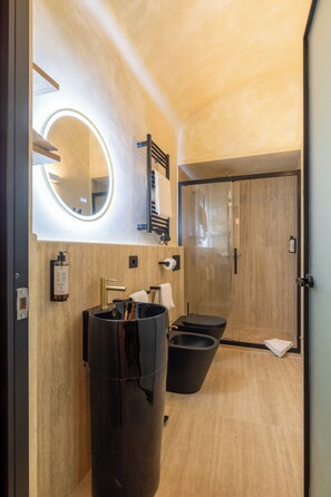 Shower, hair dryer, bidet, towels