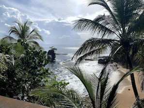 Une plage bordée de palmiers et un affleurement rocheux qui s’avance dans l’eau.