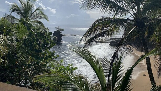 Una playa con palmeras y un afloramiento rocoso en el agua.