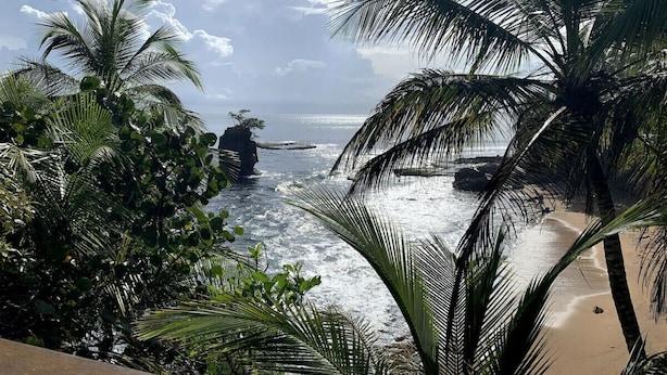 Une plage bordée de palmiers et un affleurement rocheux qui s’avance dans l’eau.