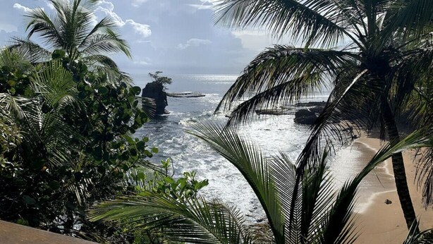 A beach with palm trees and a rocky outcrop in the water. - La Casita Beachfront Hideaway | Pool Access (Manzanillo)