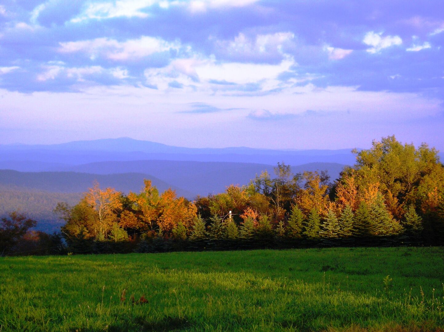 A grassy field with trees in autumn colors and a mountain range in the background.