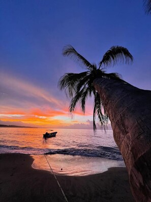 Una playa cerca