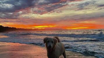 Beach nearby