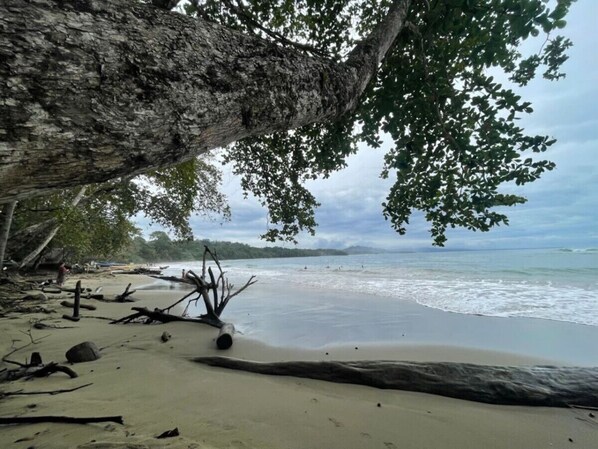 Una playa cerca