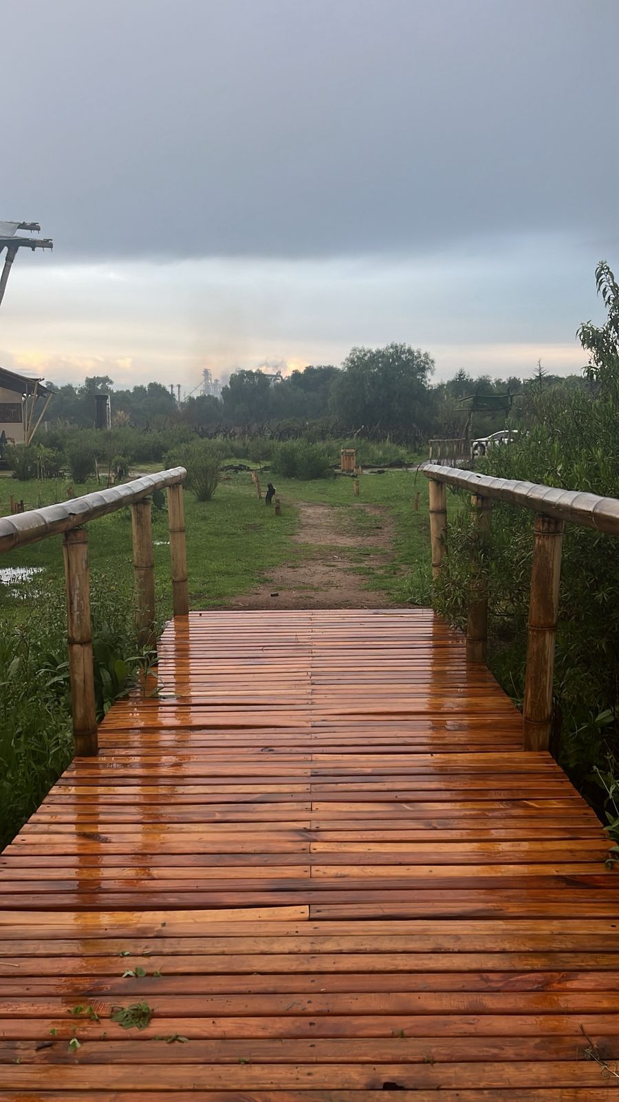 Een houten pad dat leidt naar een grasveld onder een bewolkte lucht.