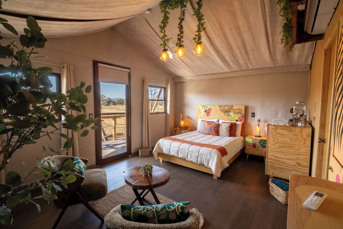 Ein Schlafzimmer mit Bett, Nachttischen, Schreibtisch, Stuhl, einer hängenden Pflanze und Blick durch die Tür.