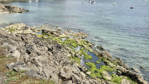 Nær stranden