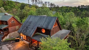 Une cabane dotée d’un toit en pente, entourée d’une forêt dense.