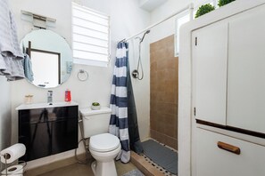 Hair dryer, towels, soap, toilet paper - Charming 1-bedroom apartment with AC, WiFi in phenomenal Carolina (Carolina)
