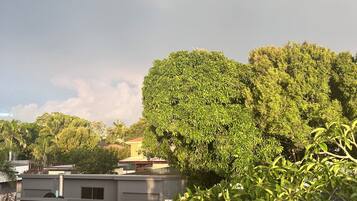 Vista des de l'allotjament