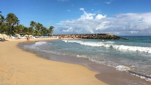 Ein Strand mit blauem Himmel, Palmen und einem steinernen Wellenbrecher.