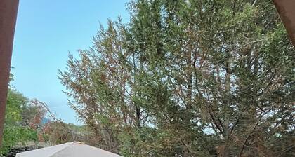 Cozy retreat nestled in the greenery and silence of unspoiled nature